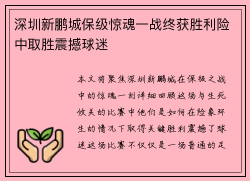 深圳新鹏城保级惊魂一战终获胜利险中取胜震撼球迷